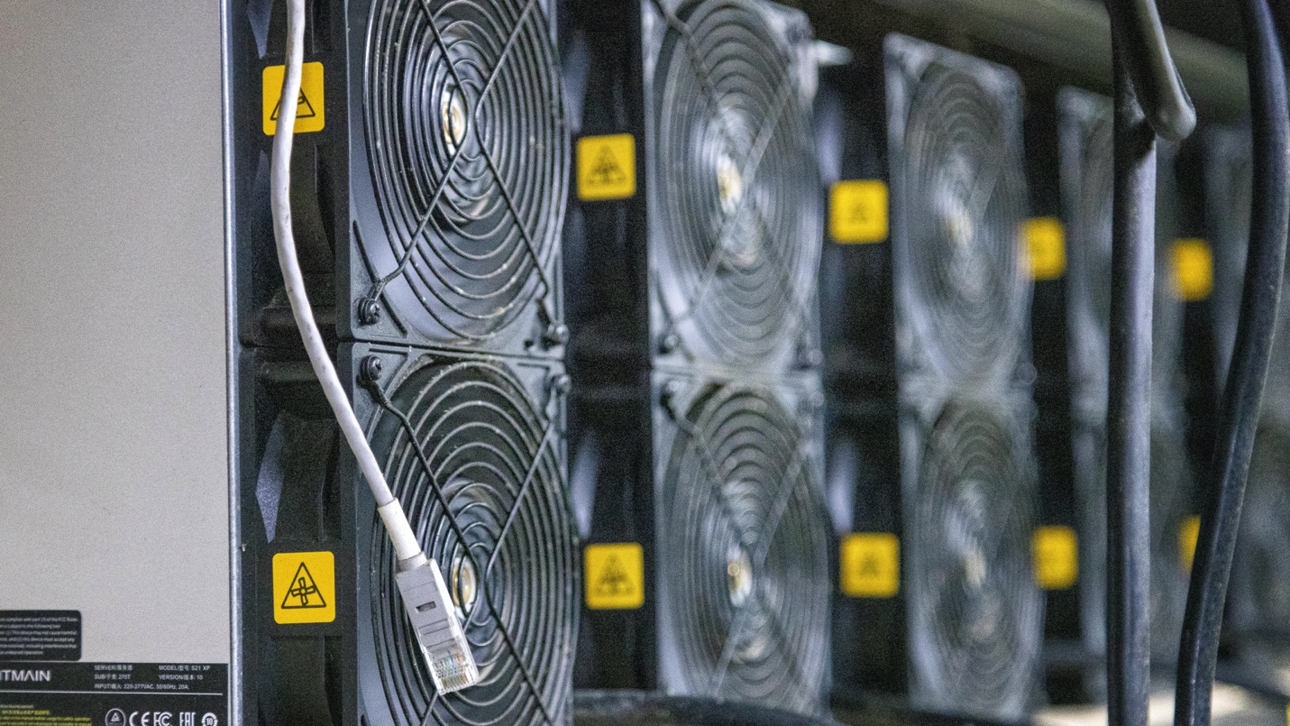 A group of black fans
AI-generated content may be incorrect.