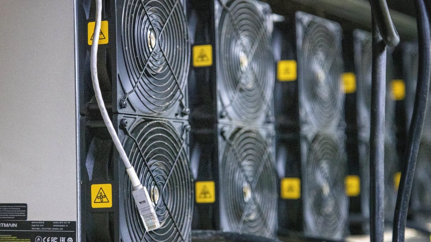 A group of black fans
AI-generated content may be incorrect.